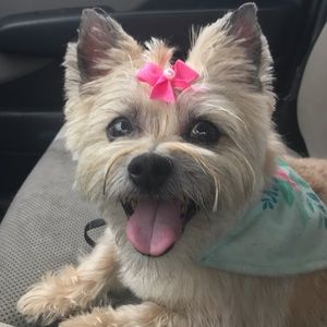 Meet your Posher, Sarah